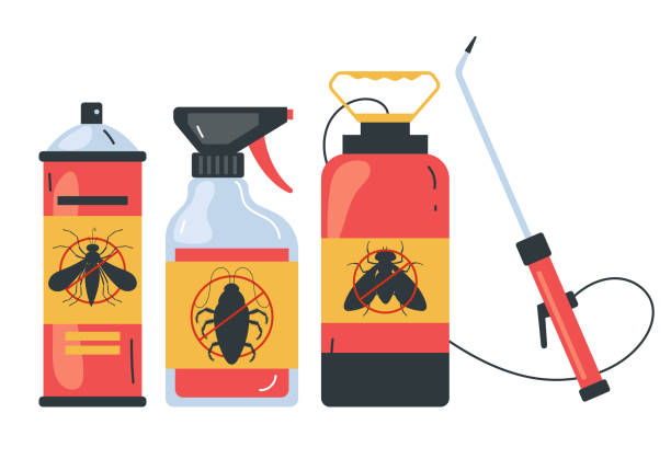 Best Ant Control Services  in Hawaiian Gardens, CA
